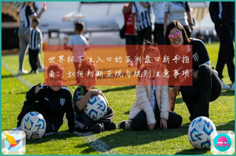 世界杯下注入口的亚洲盘口新手指南：如何判断正规与规则注意事项