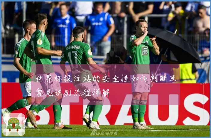 世界杯投注站的安全性如何判断及常见识别流程详解