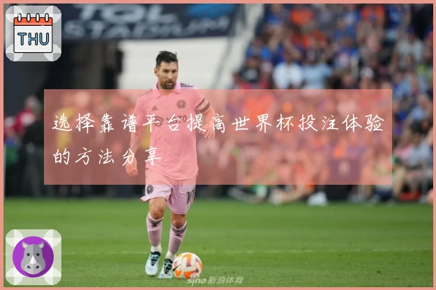 选择靠谱平台提高世界杯投注体验的方法分享