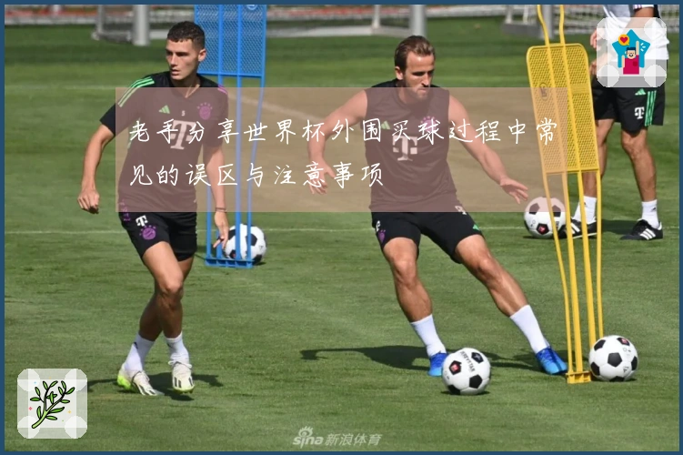 老手分享世界杯外围买球过程中常见的误区与注意事项