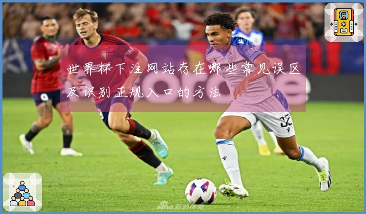 世界杯下注网站存在哪些常见误区及识别正规入口的方法