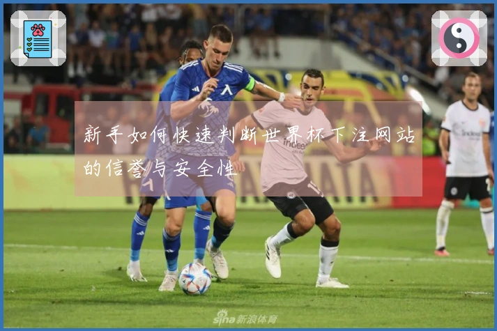 新手如何快速判断世界杯下注网站的信誉与安全性