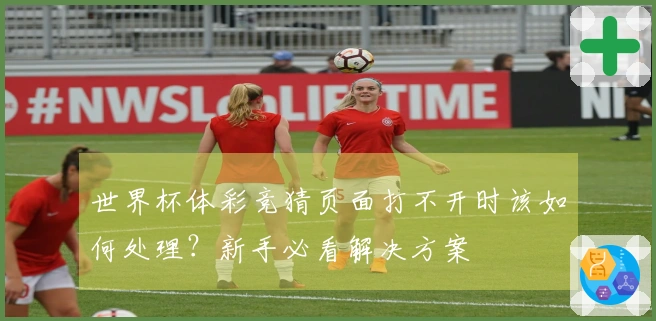 世界杯体彩竞猜页面打不开时该如何处理？新手必看解决方案