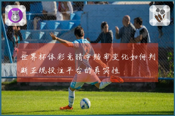 世界杯体彩竞猜中赔率变化如何判断正规投注平台的真实性