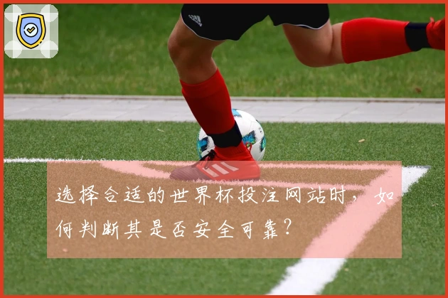 选择合适的世界杯投注网站时，如何判断其是否安全可靠？
