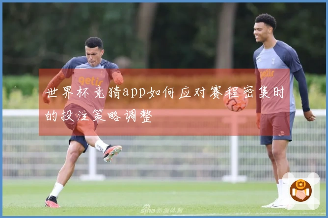 世界杯竞猜app如何应对赛程密集时的投注策略调整