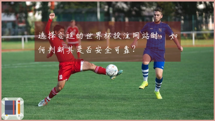 选择合适的世界杯投注网站时，如何判断其是否安全可靠？