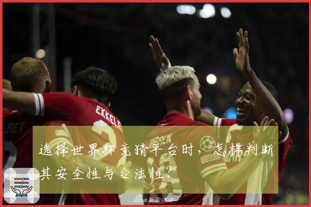 选择世界杯竞猜平台时，怎样判断其安全性与合法性？