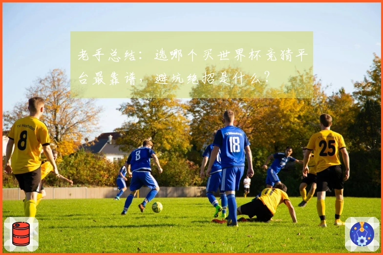 老手总结：选哪个买世界杯竞猜平台最靠谱，避坑绝招是什么？