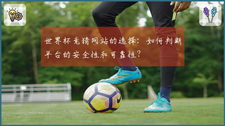 世界杯竞猜网站的选择：如何判断平台的安全性和可靠性？