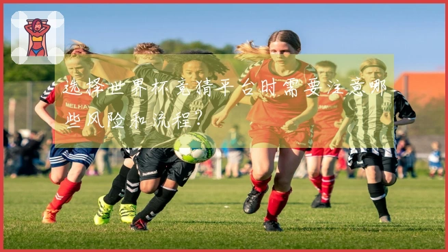 选择世界杯竞猜平台时需要注意哪些风险和流程？