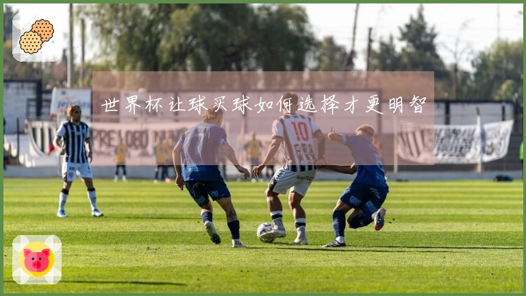 世界杯让球买球如何选择才更明智