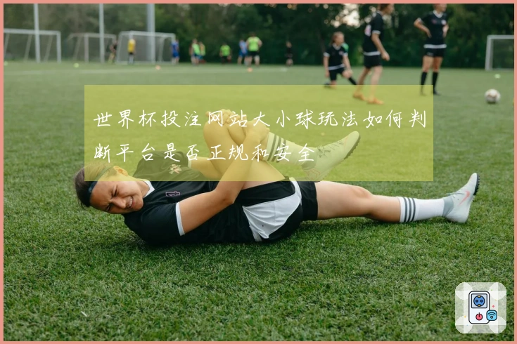 世界杯投注网站大小球玩法如何判断平台是否正规和安全