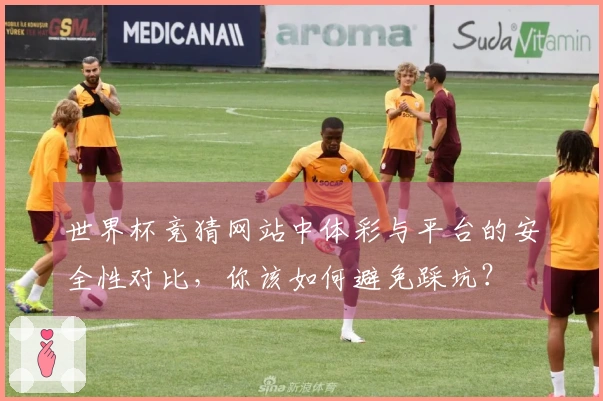 世界杯竞猜网站中体彩与平台的安全性对比，你该如何避免踩坑？