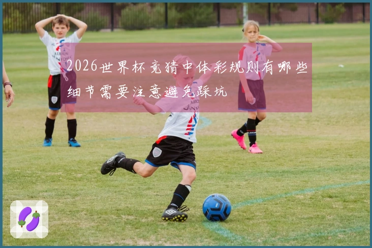 2026世界杯竞猜中体彩规则有哪些细节需要注意避免踩坑