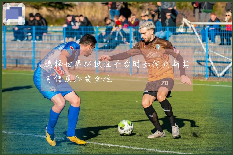 选择世界杯投注平台时如何判断其可信度和安全性