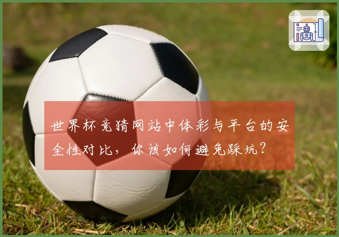 世界杯竞猜网站中体彩与平台的安全性对比，你该如何避免踩坑？