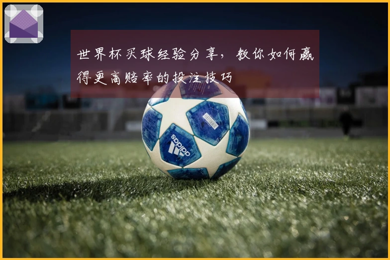 世界杯买球经验分享，教你如何赢得更高赔率的投注技巧