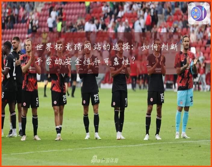 世界杯竞猜网站的选择：如何判断平台的安全性和可靠性？