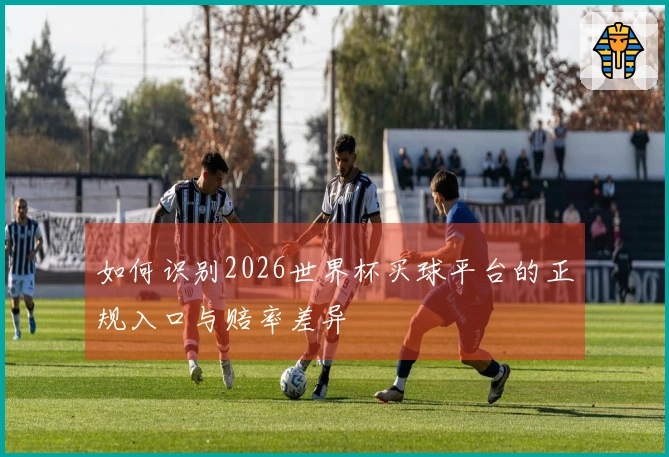 如何识别2026世界杯买球平台的正规入口与赔率差异