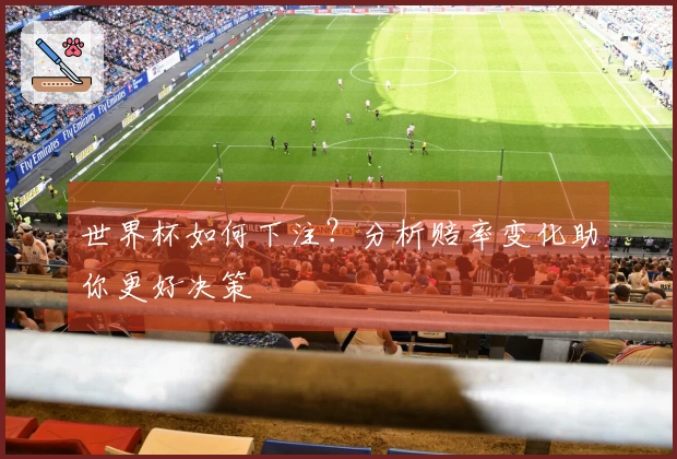 世界杯如何下注？分析赔率变化助你更好决策