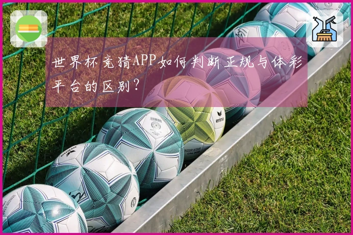世界杯竞猜APP如何判断正规与体彩平台的区别？