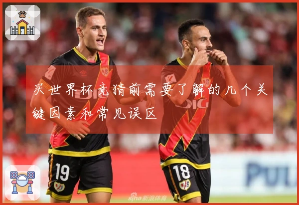买世界杯竞猜前需要了解的几个关键因素和常见误区