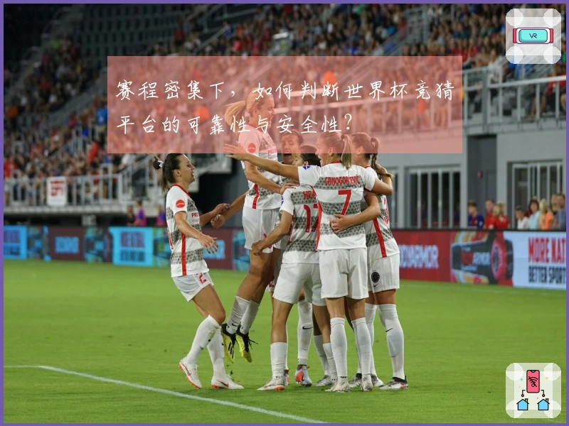 赛程密集下，如何判断世界杯竞猜平台的可靠性与安全性？