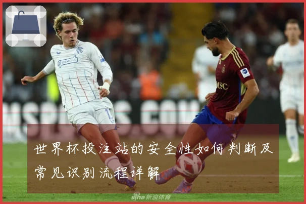 世界杯投注站的安全性如何判断及常见识别流程详解