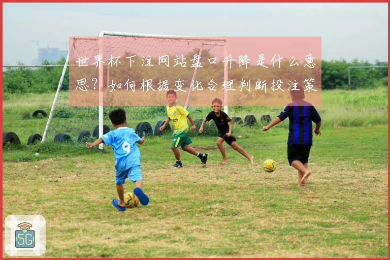 世界杯下注网站盘口升降是什么意思？如何根据变化合理判断投注策略