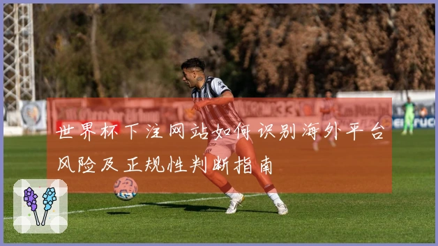 世界杯下注网站如何识别海外平台风险及正规性判断指南