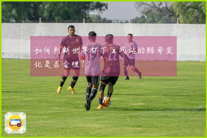 如何判断世界杯下注网站的赔率变化是否合理？