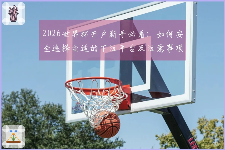 2026世界杯开户新手必看：如何安全选择合适的下注平台及注意事项