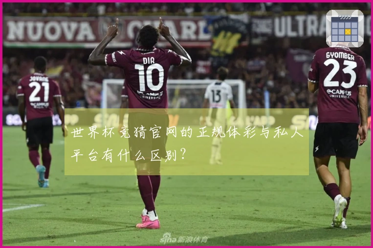 世界杯竞猜官网的正规体彩与私人平台有什么区别？