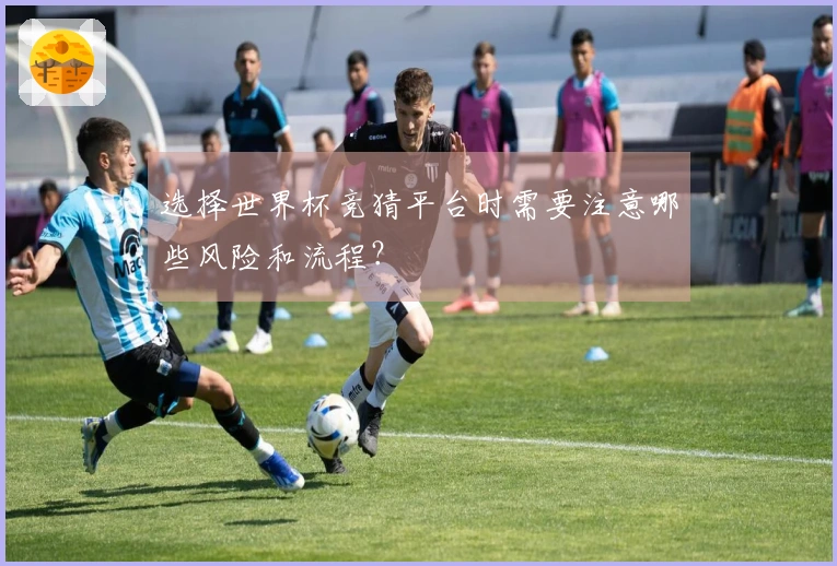 选择世界杯竞猜平台时需要注意哪些风险和流程？
