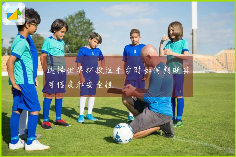 选择世界杯投注平台时如何判断其可信度和安全性