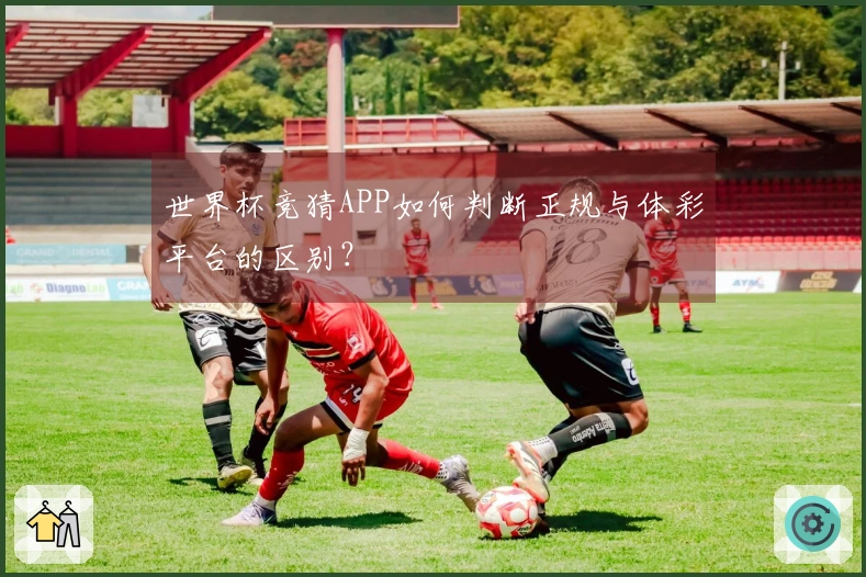 世界杯竞猜APP如何判断正规与体彩平台的区别？