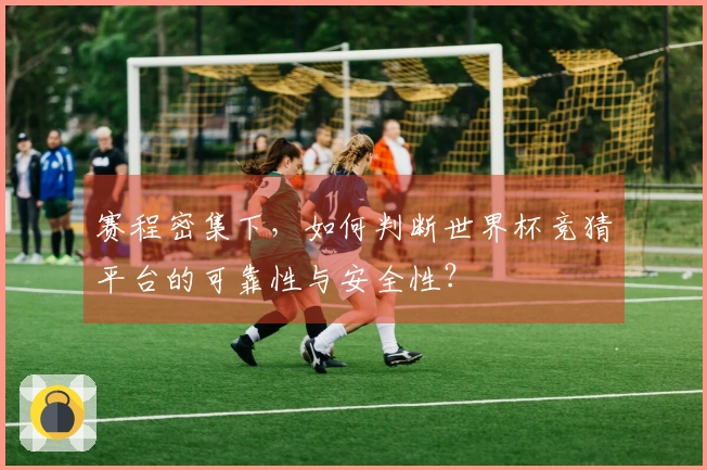 赛程密集下，如何判断世界杯竞猜平台的可靠性与安全性？