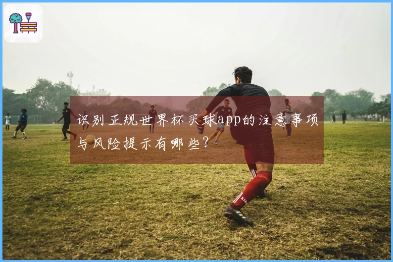 识别正规世界杯买球app的注意事项与风险提示有哪些？